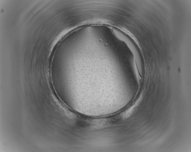 X0000076080989200610152248