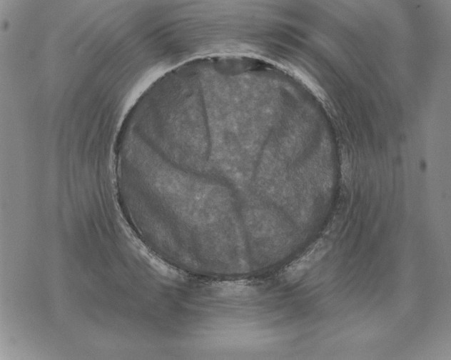 X0000076080990200610152248