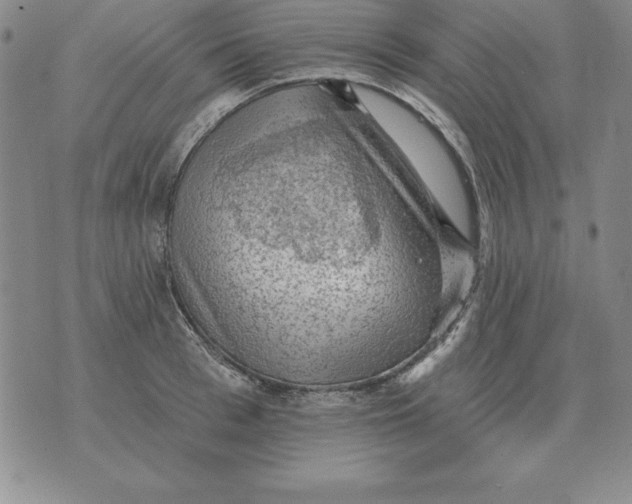 X0000076080993200610152248