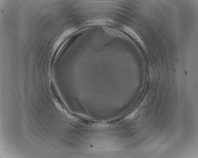 X0000076080994200610152248