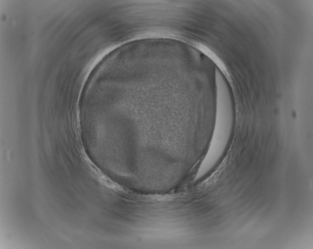 X0000076080996200610152248