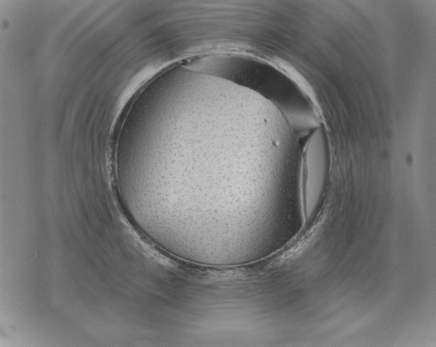 X0000076080997200610152248