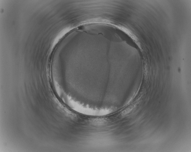 X0000076080998200610152248