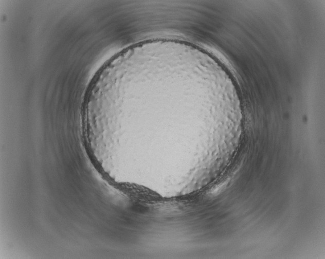 X0000076080999200610152248