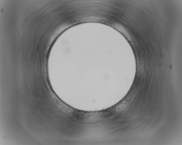 X0000076081000200610152248