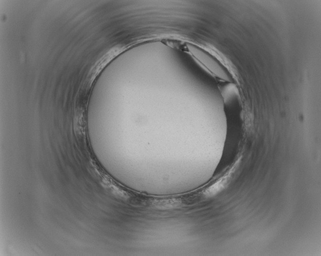 X0000076081001200610152248