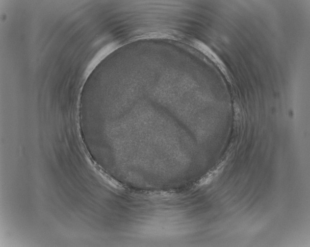 X0000076081002200610152248