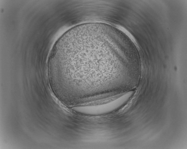 X0000076081004200610152248