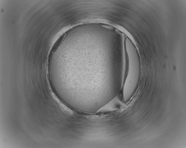 X0000076081005200610152248