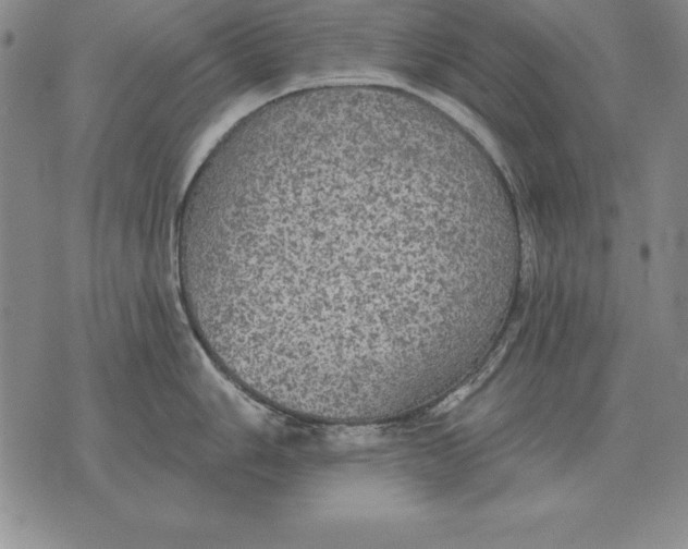 X0000076081006200610152248