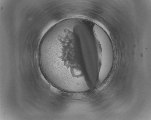 X0000076081007200610152248