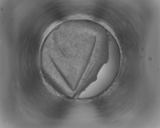 X0000076081008200610152248