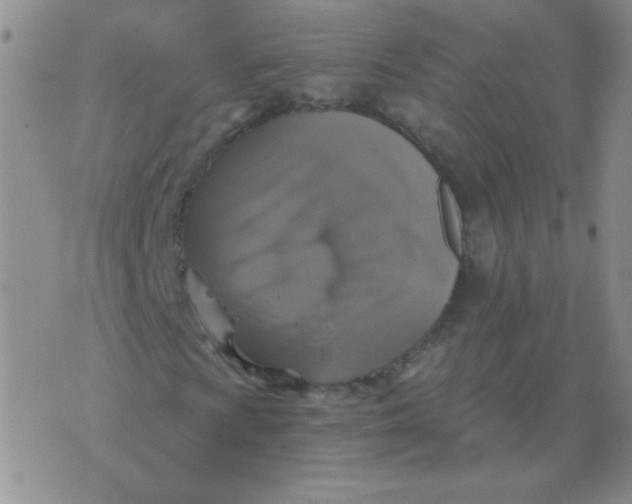 X0000076081009200610152247