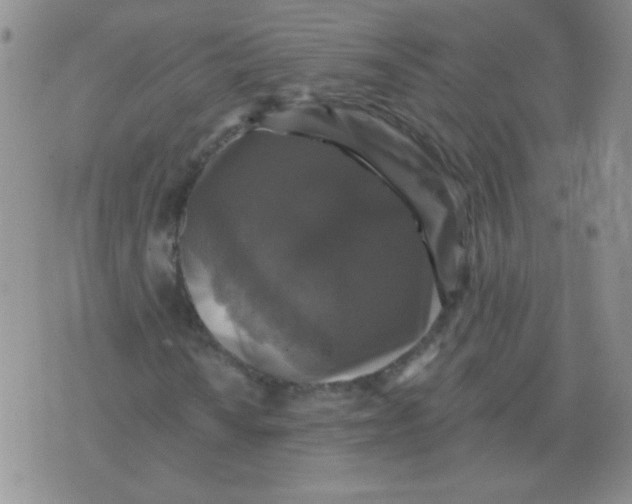 X0000076081010200610152247