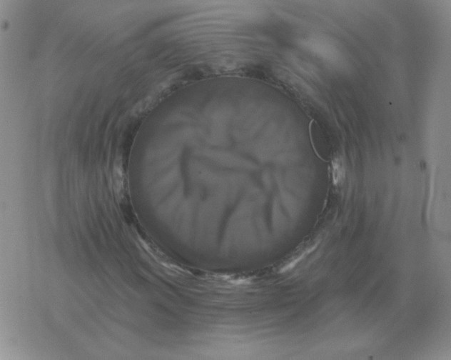 X0000076081011200610152247