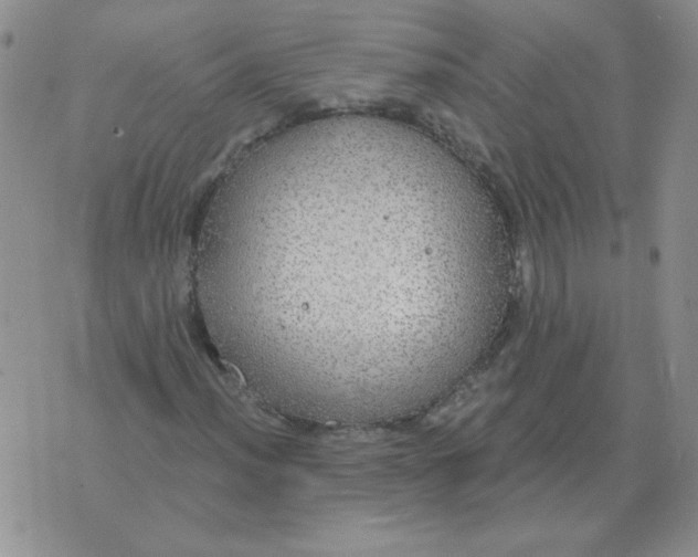 X0000076081012200610152247