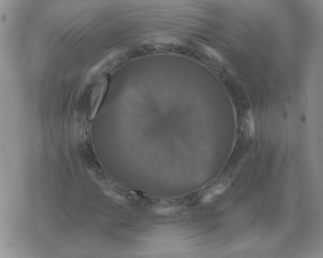 X0000076081014200610152247