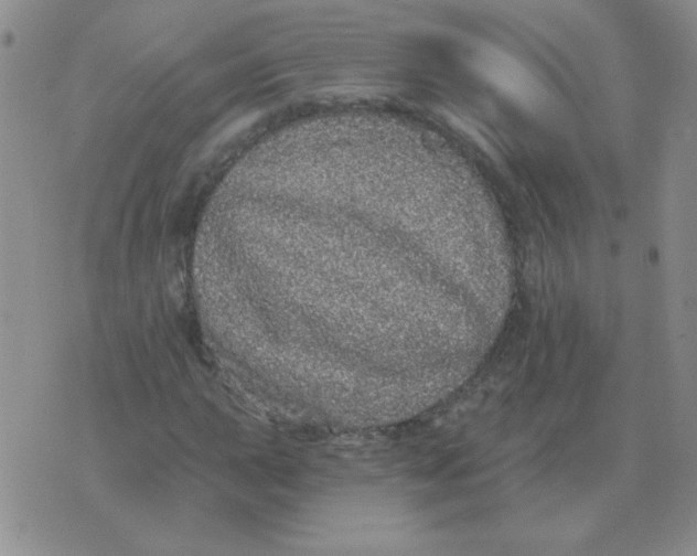 X0000076081015200610152247