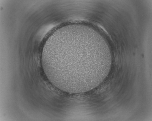 X0000076081016200610152247