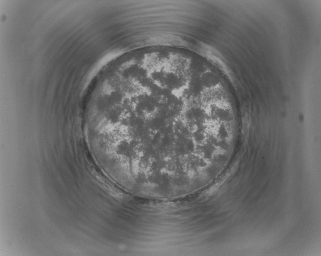 X0000076081019200610152247