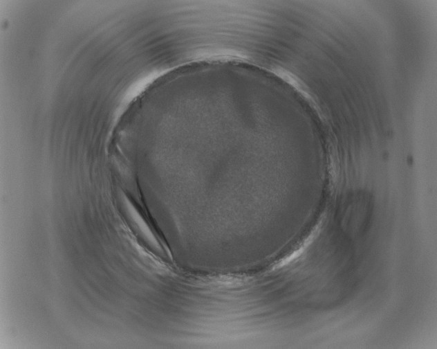 X0000076081022200610152247