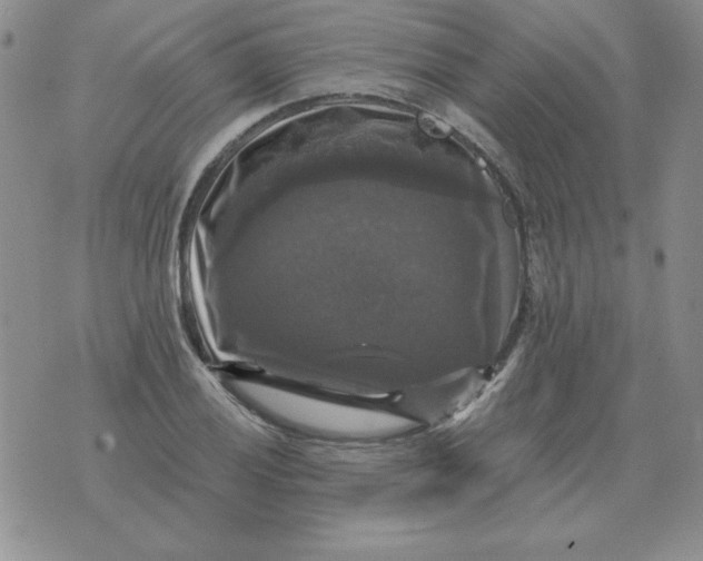 X0000076081028200610152247