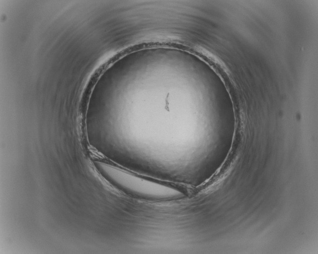 X0000076081029200610152247