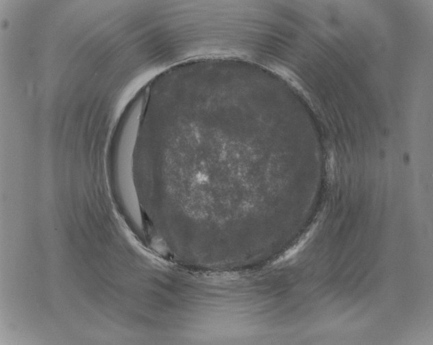 X0000076081030200610152247