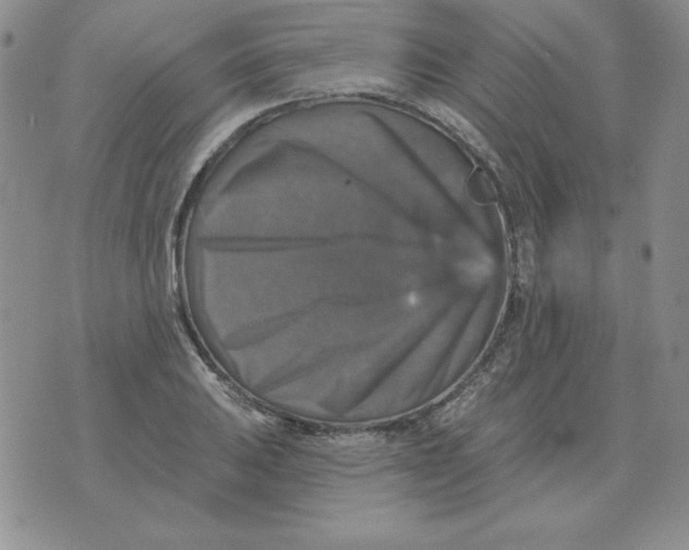 X0000076081031200610152247