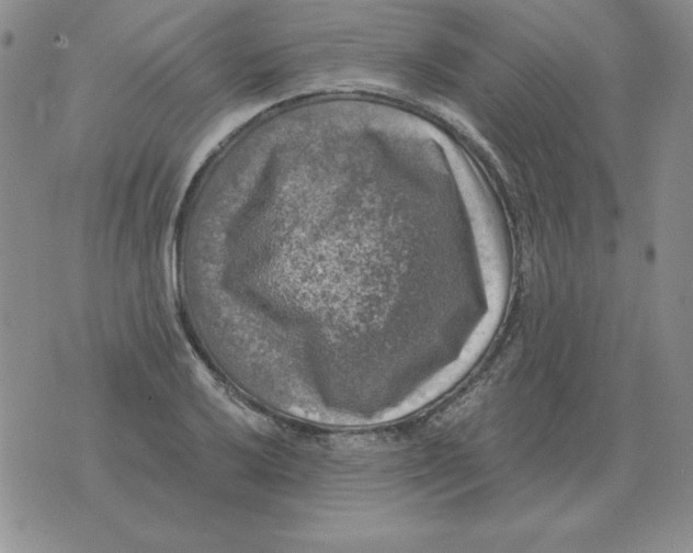 X0000076081032200610152247