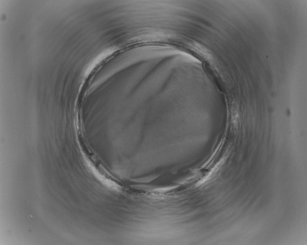 X0000076081034200610152247