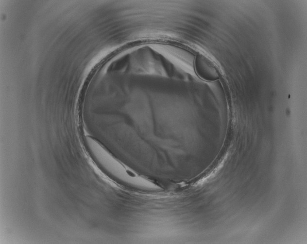 X0000076081037200610152247