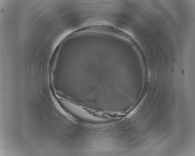 X0000076081038200610152247