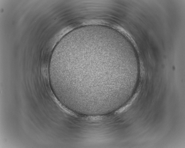 X0000076081041200610152248