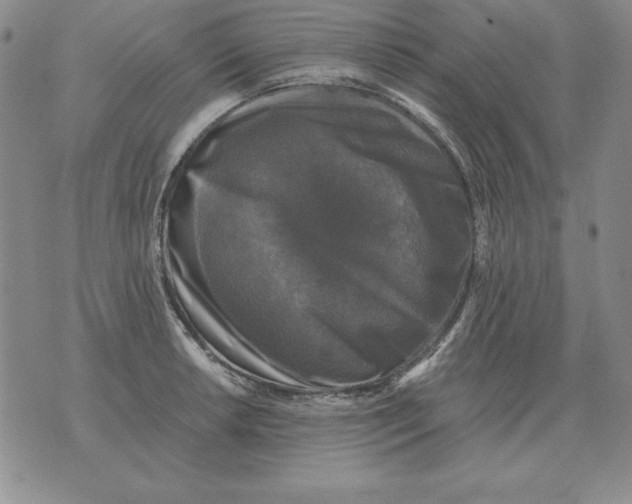 X0000076081042200610152248