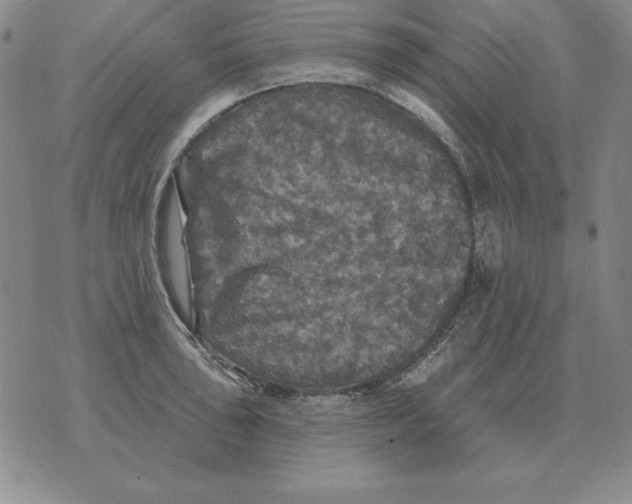 X0000076081043200610152248