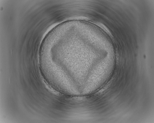 X0000076081044200610152248