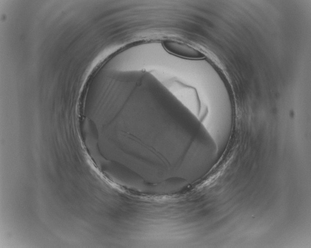 X0000076081045200610152248