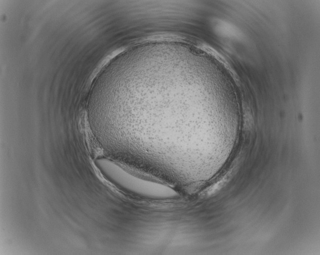 X0000076081049200610152248