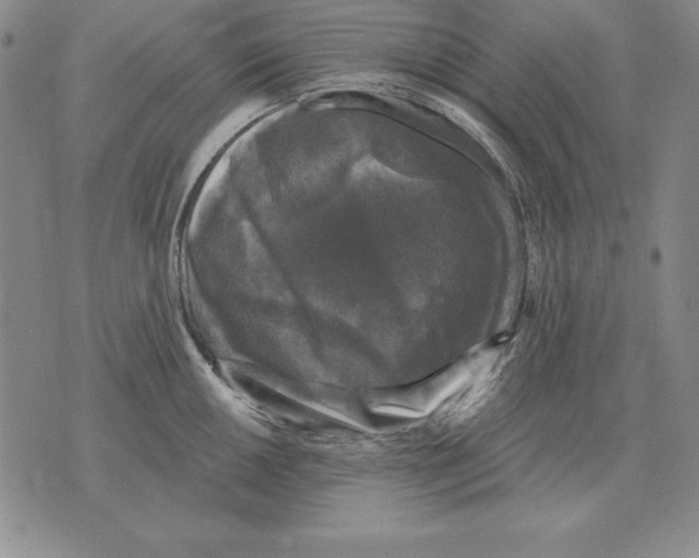 X0000076081050200610152248