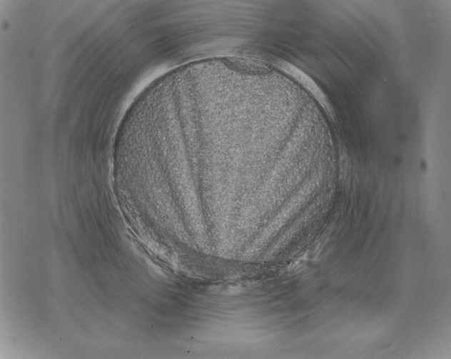 X0000076081051200610152248