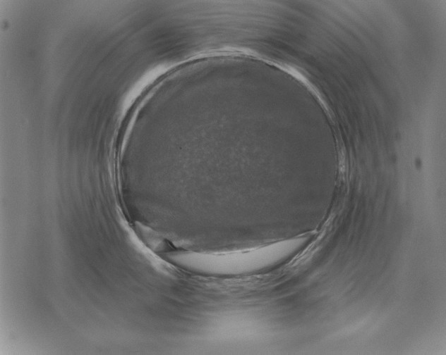 X0000076081054200610152248