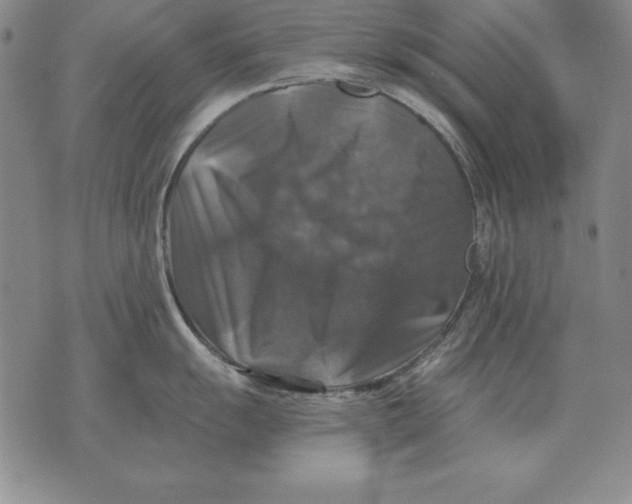 X0000076081055200610152248