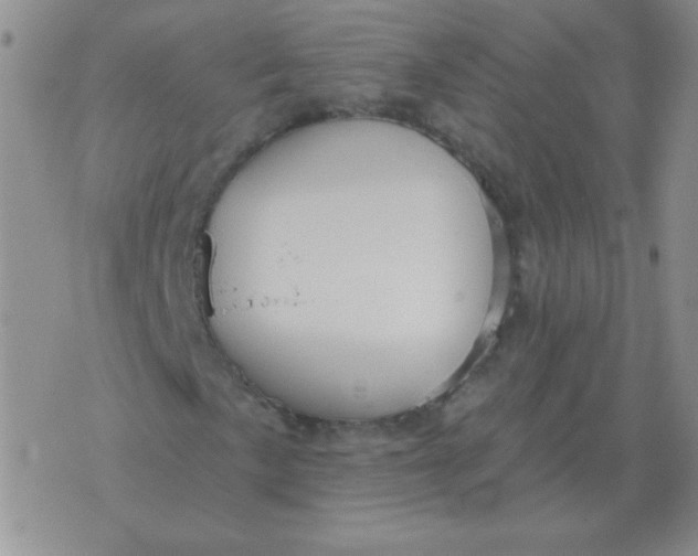 X0000076081057200610152247