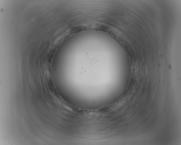 X0000076081058200610152247