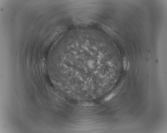 X0000076081059200610152247