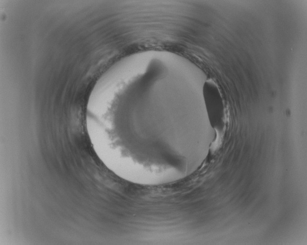 X0000076081060200610152247