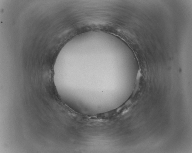 X0000076081061200610152247