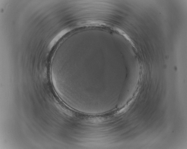 X0000076081066200610152247