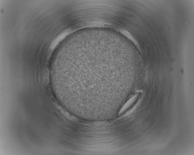 X0000076081067200610152247